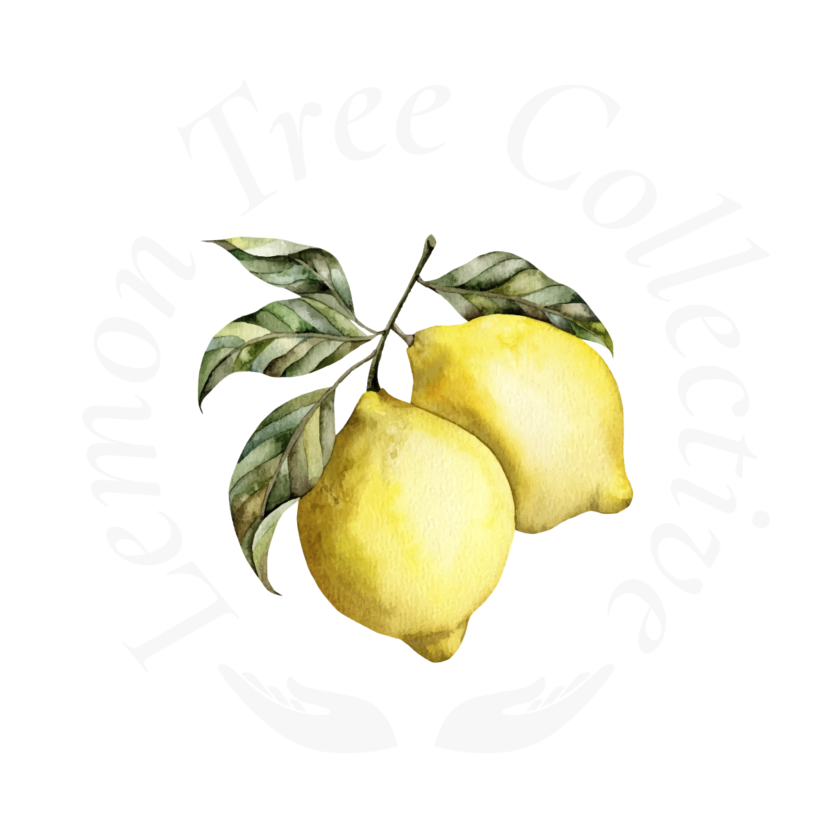 Lemon Tree Collective